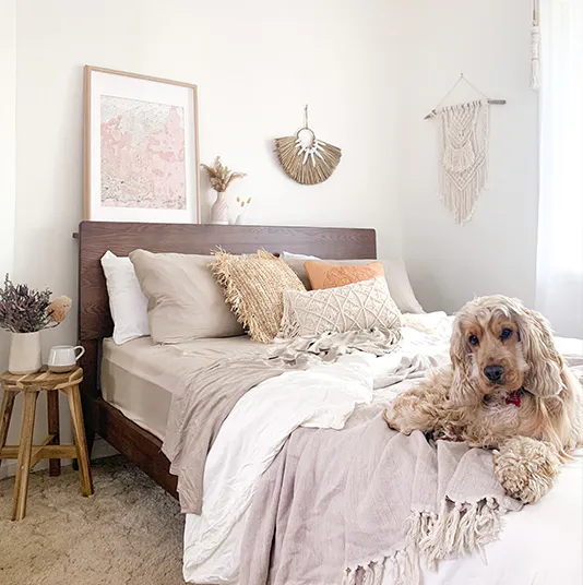 Ecosa Bed Base with Christine