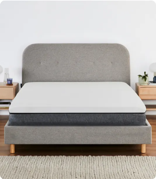 Cove Bed Frame