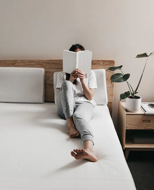 Ecosa Mattress with Albert S